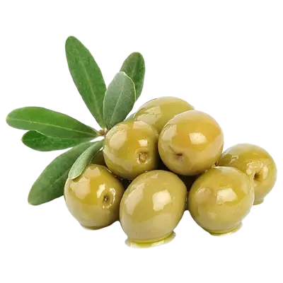 জয়তুন